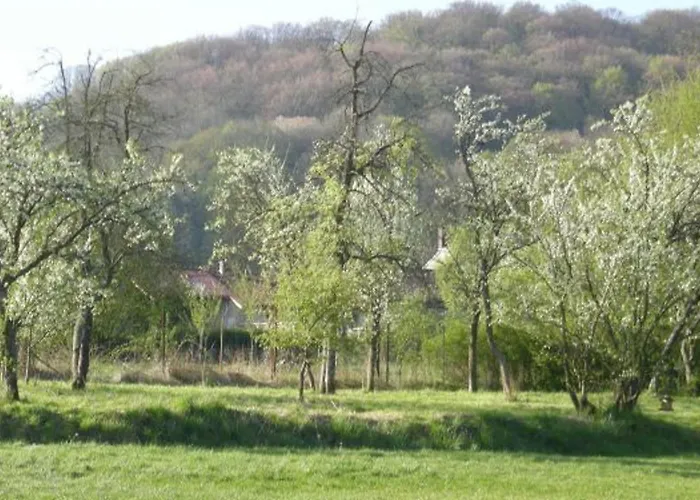 Confortable A Avec Cheminee Et Terrasse - Fr-1-585-5 * Halles-sous-les-Cotes